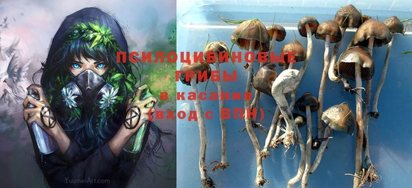 прущие крисы Армянск