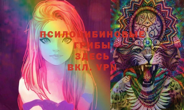 2c-b Баксан