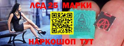 шишки Гай