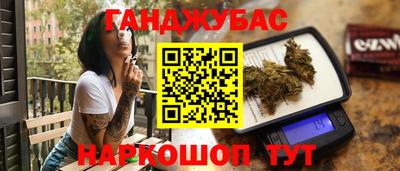 шишки Гай