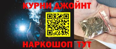 шишки Гай