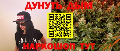 прущие грибы Гатчина