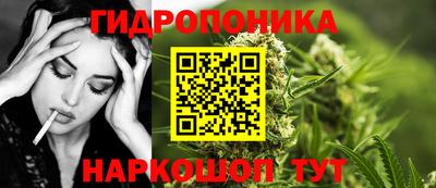 прущие грибы Гатчина