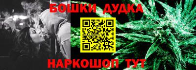 прущие грибы Гатчина