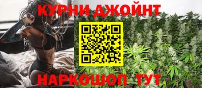 прущие грибы Гатчина