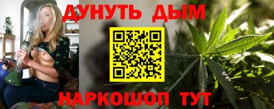 шишки Гай