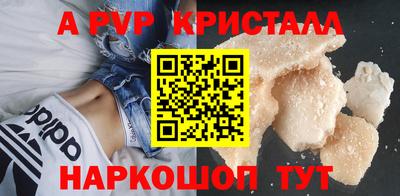 шишки Гай