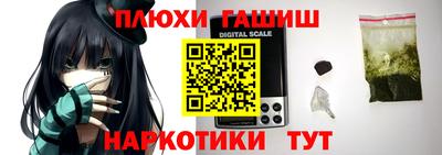 прущие грибы Гатчина
