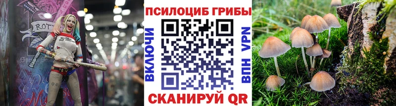 Галлюциногенные грибы Magic Shrooms  Борисоглебск 