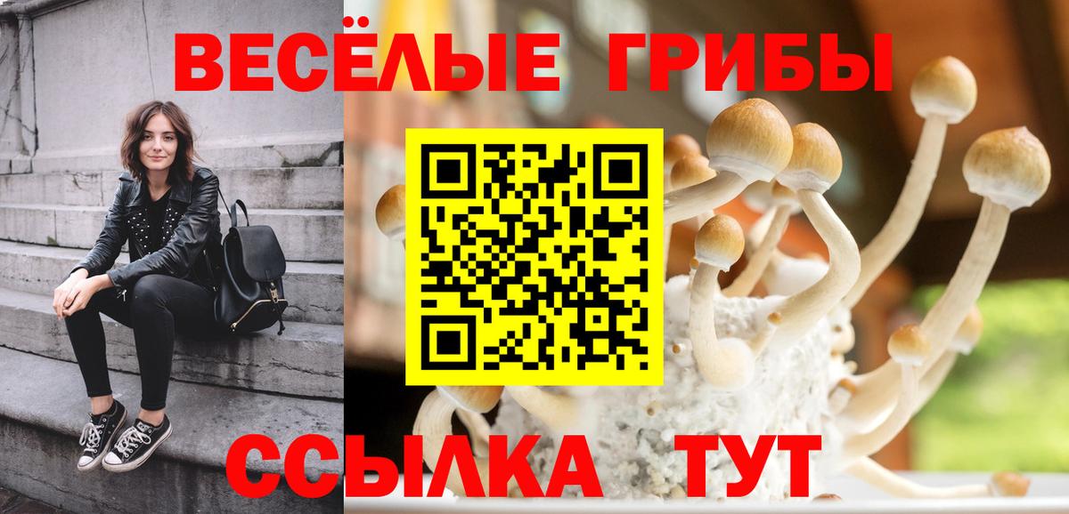 Борисоглебск  Галлюциногенные грибы GOLDEN TEACHER  Вход с VPN 