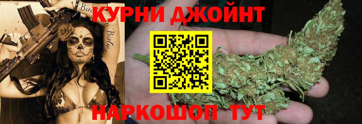 Бошки Шишки план Борисоглебск